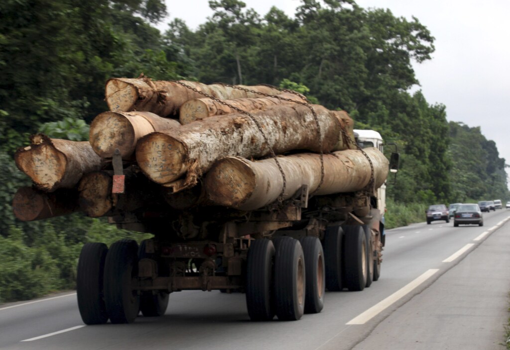 Logging and farming are threatening Africa's jungles, including the Congo Basin and the Guinean Forests