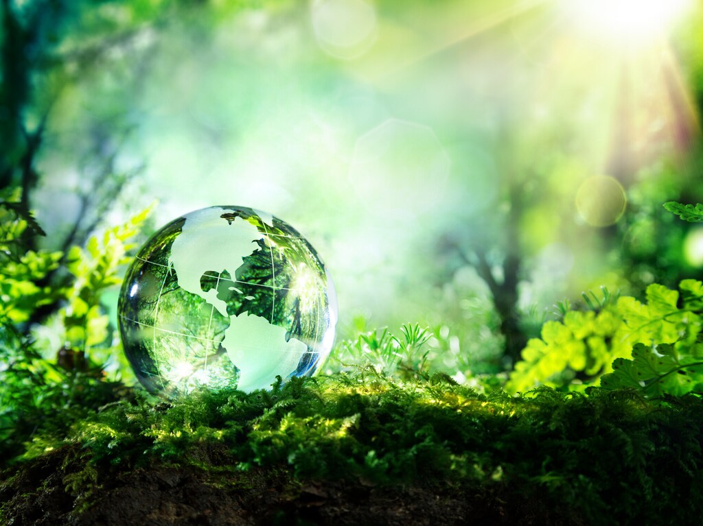 glass planet in a forest with sunshine - Usa map. Our Planetary Commons are being eroded — but it is not too late to act.