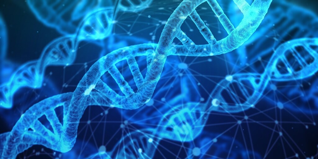 The prototyping process at the heart of biofoundries involves the design of DNA genetic components.