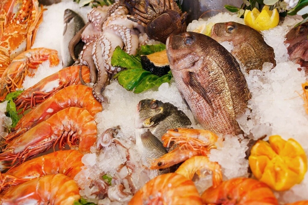 Something fishy: corruption is making the trade in fish a threat to sustainability