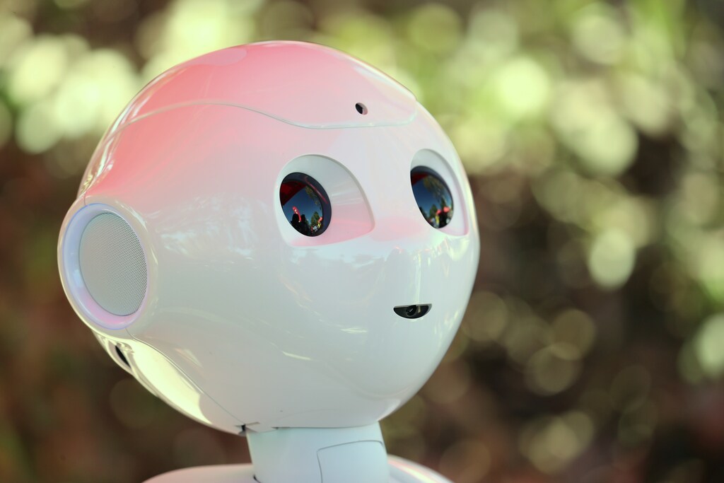 An artificial Intelligence project utilizing a humanoid robot from French company Aldebaran and reprogramed for their specific campus makes its debut as an assistant for students attending Palomar College in San Marcos, California, U.S. October 10, 2017. REUTERS/Mike Blake - RC16167171A0