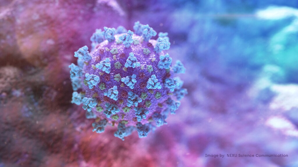 A computer image created by Nexu Science Communication together with Trinity College in Dublin, shows a model structurally representative of a betacoronavirus which is the type of virus linked to COVID-19, better known as the coronavirus linked to the Wuhan outbreak, shared with Reuters on February 18, 2020. NEXU Science Communication/via REUTERS THIS IMAGE HAS BEEN SUPPLIED BY A THIRD PARTY. MANDATORY CREDIT. - RC243F9HLMWH