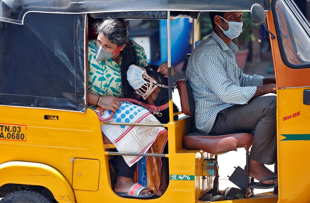 A dog wearing a protective mask is seen with its owner inside an autorickshaw during a 21-day nationwide lockdown to limit the spreading of coronavirus disease (COVID-19) in Chennai, India, March 30, 2020. REUTERS/P. Ravikumar Coronavirus china virus health healthcare who world health organization disease deaths pandemic epidemic worries concerns Health virus contagious contagion viruses diseases disease lab laboratory doctor health dr nurse medical medicine drugs vaccines vaccinations inoculations technology testing test medicinal biotechnology biotech biology chemistry physics microscope research influenza flu cold common cold bug risk symptomes respiratory china iran italy europe asia america south america north washing hands wash hands coughs sneezes spread spreading precaution precautions health warning covid 19 cov SARS 2019ncov wuhan sarscow wuhanpneumonia pneumonia outbreak patients unhealthy fatality mortality elderly old elder age serious death deathly deadly