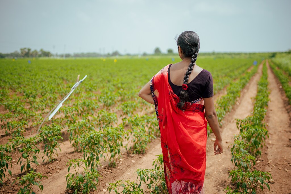 Awoman in red sari looks at her crops in India's south: Agritech delivering data-driven services in India is estimated to potentially add $50-70 billion to the agriculture sector by 2025.
