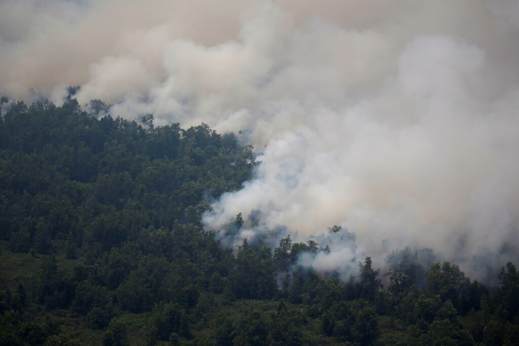 Smog covers trees during a forest fire in Palangka Raya, Central Kalimantan province, Indonesia, September 14, 2019. REUTERS/Willy Kurniawan - RC174510A660