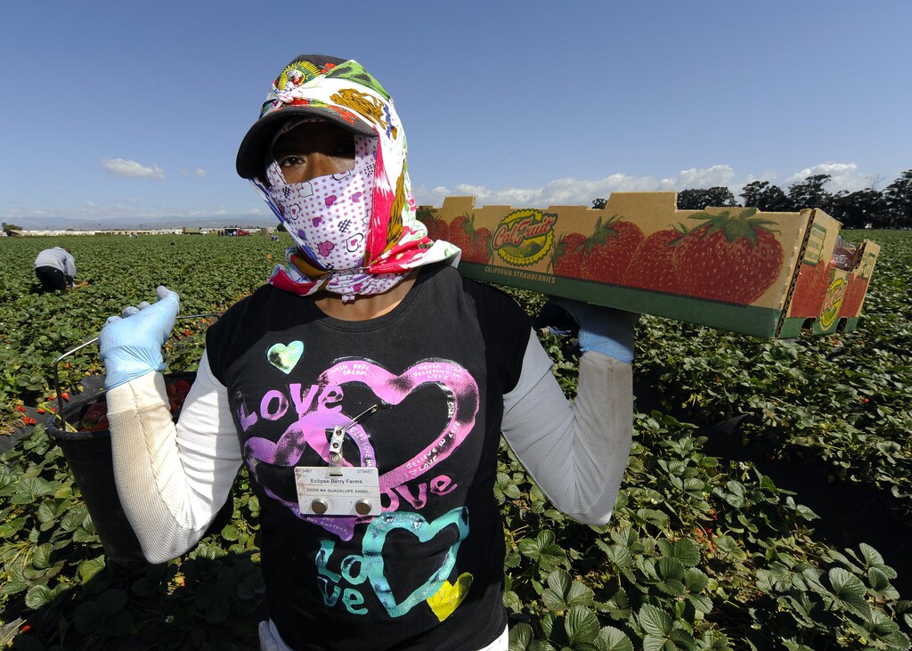 California's economy is fit to become the 4th largest economy, if it was a country.