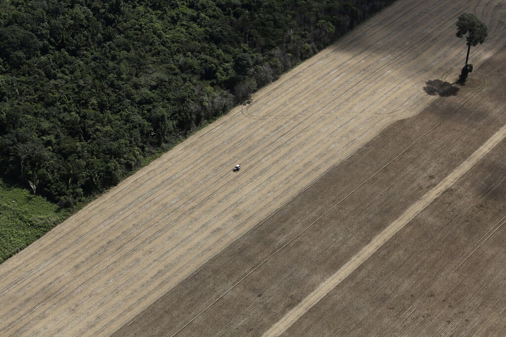 A tractor works on a wheat plantation on land that used to be virgin Amazon rainforest near the city of Santarem, Para State, April 20, 2013