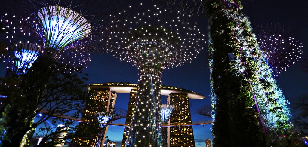 The giant concrete structures of the Supertree Grove are illuminated against the dusk sky at the newly opened Gardens by the Bay in Singapore July 8, 2012. The 101-hectare gardens, situated at the heart of Singapore's Marine Bay, cost S$1 billion ($786 million) to build and houses over a quarter of a million rare plants, according to the park. REUTERS/Tim Chong (SINGAPORE - Tags: ENVIRONMENT CITYSPACE SOCIETY) - GM1E8781R2M01