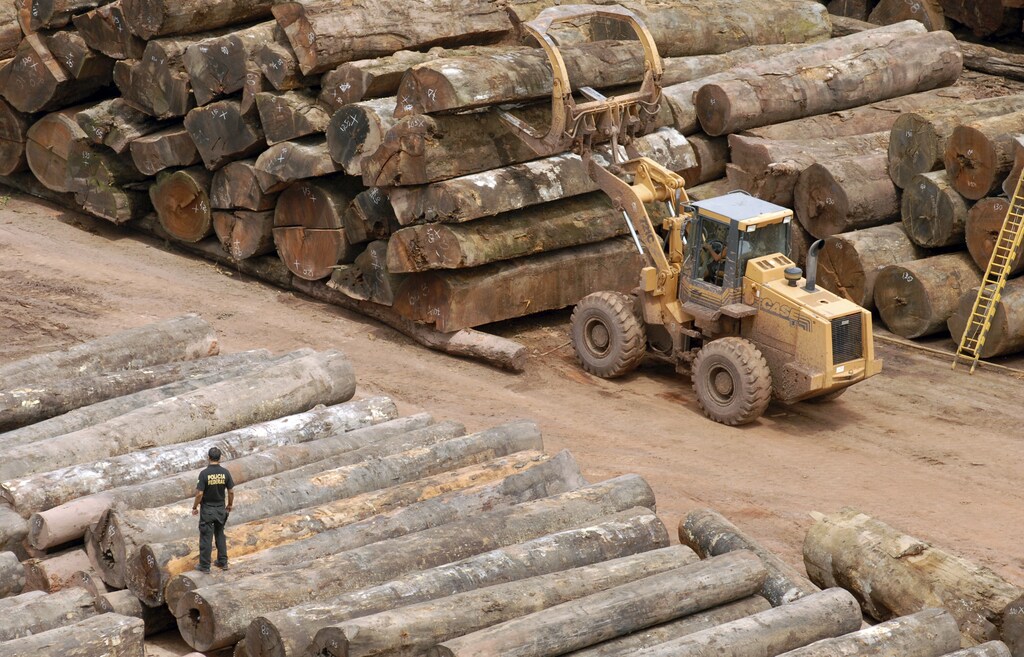 An IBAMA (Brazilian Institute of Environment) official checks timber that is suspected of having been illegally logged in the northeastern state of Para April 14, 2010. Brazilian Federal Police, IBAMA (Brazilian Institute of Environment), Instituto Chico Mendes Biodiversity (ICMBio), Amazon protection system (Sipam) and National Force, started on Monday an operation called "Delta" to combat the deforestation of the Amazon and the illegal trade in wood. More than 5,000 cubic meters (176,751 cubic feet) of tree trunks and wood cut from native species have been confiscated in Pará State, according to officials. REUTERS/Paulo Santos (BRAZIL - Tags: ENVIRONMENT CRIME LAW) - GM1E64F0JAD01