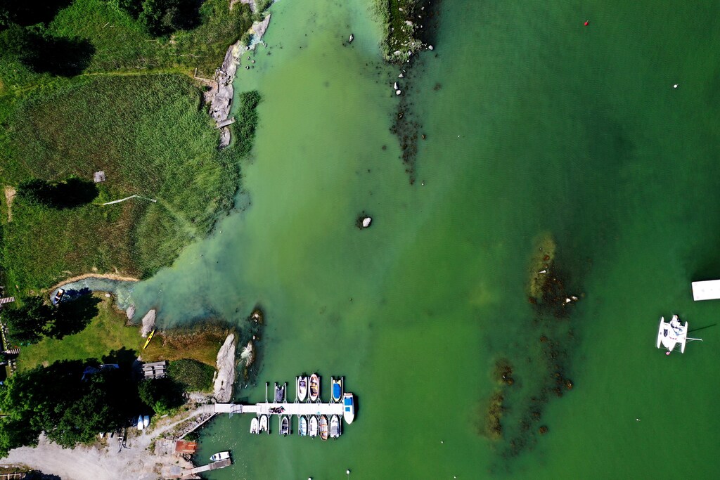An aerial view of toxic blue-green algal bloom on the Baltic Sea coast near Stockholm, Sweden.