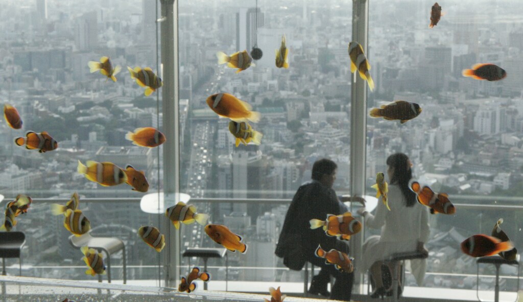 Tropical fish swim in a fish tank at a makeshift aquarium named "Sky Aquarium II" in the 52nd floor of Mori Tower, a skyscraper in the Roppongi Hills complex in Tokyo July 17, 2008. Organisers said over 20,000 fish from about 500 different species are being displayed at the event. REUTERS/Toru Hanai (JAPAN) - RTX80L3