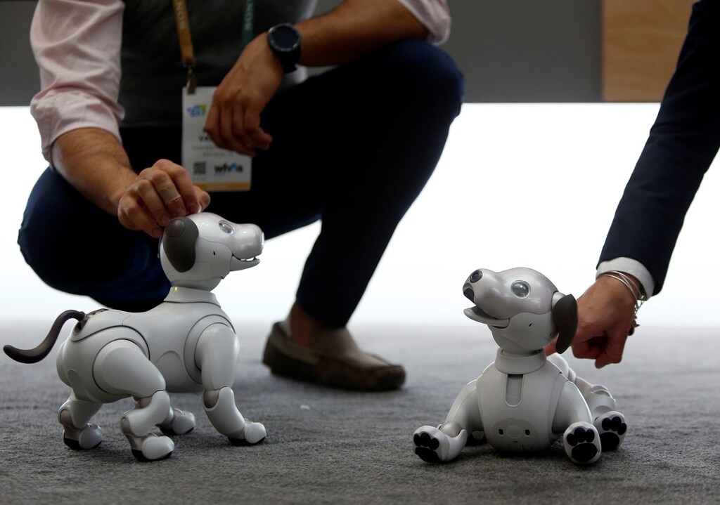 Sony's Aibo robotic dogs are displayed during the 2018 CES in Las Vegas, Nevada, U.S. January 8, 2018. REUTERS/Steve Marcus - RC1931AEAB10