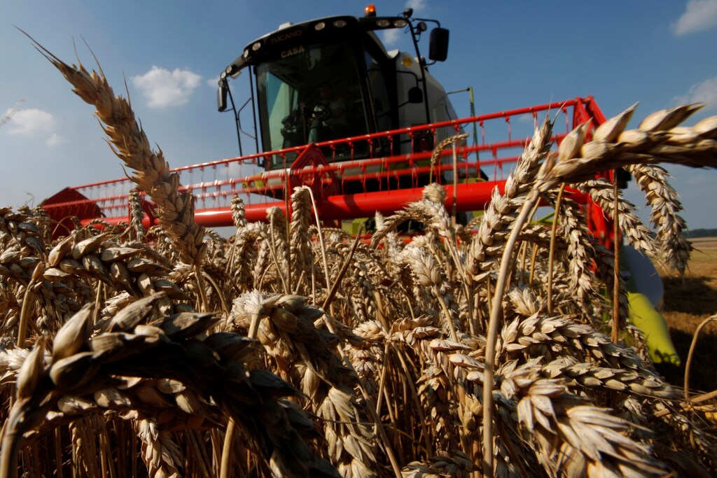 FILE PHOTO: A French farmer sits in his combine as he harvests his wheat crop in Bugnicourt, northern France, August 9, 2012. REUTERS/Pascal Rossignol/File Photo