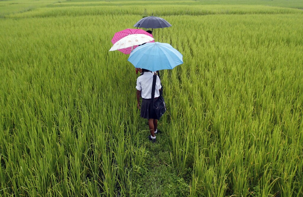 School children walk through a field at Koribari village on the outskirts of the northeastern Indian city of Siliguri August 25, 2008. Indian corn futures may trade higher on Monday with record exports and a lower acreage supporting and better-than-expected crop, aided by late rains, weighing, analysts said. REUTERS/Rupak De Chowdhuri (INDIA) - GM1E48Q0J6F01
