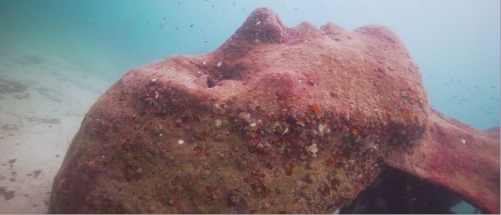 UpLink: Non-profit organization Global Coralition draws on art, science and local communities for its coral reef restoration work.