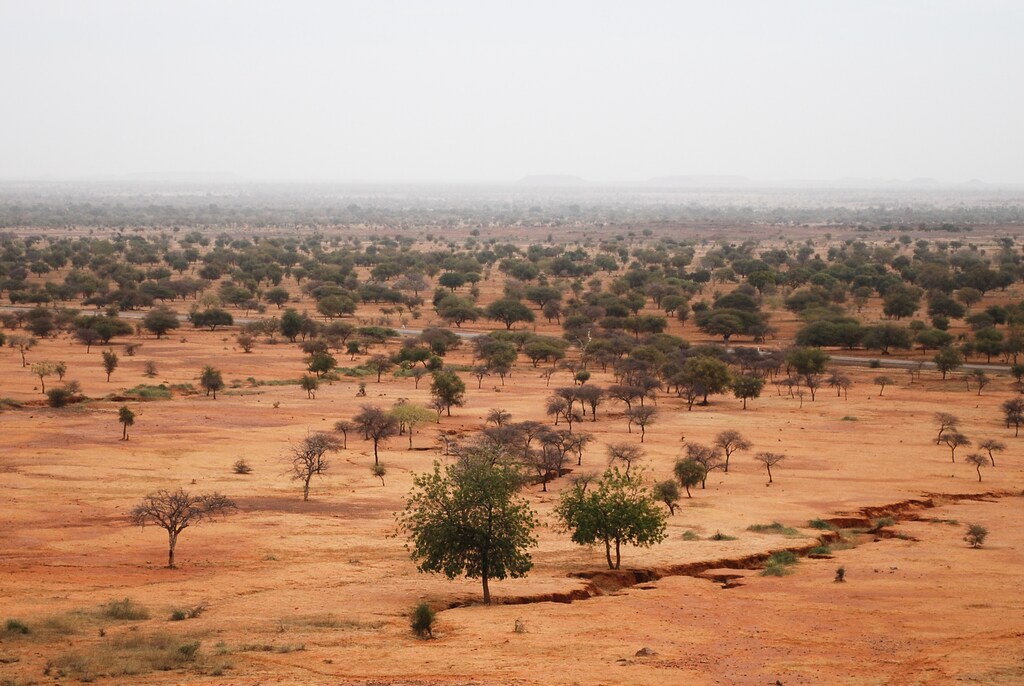 Aerial image of the Sahel, which is a transition zone between the arid north and the tropical green forest that borders the maritime coast.