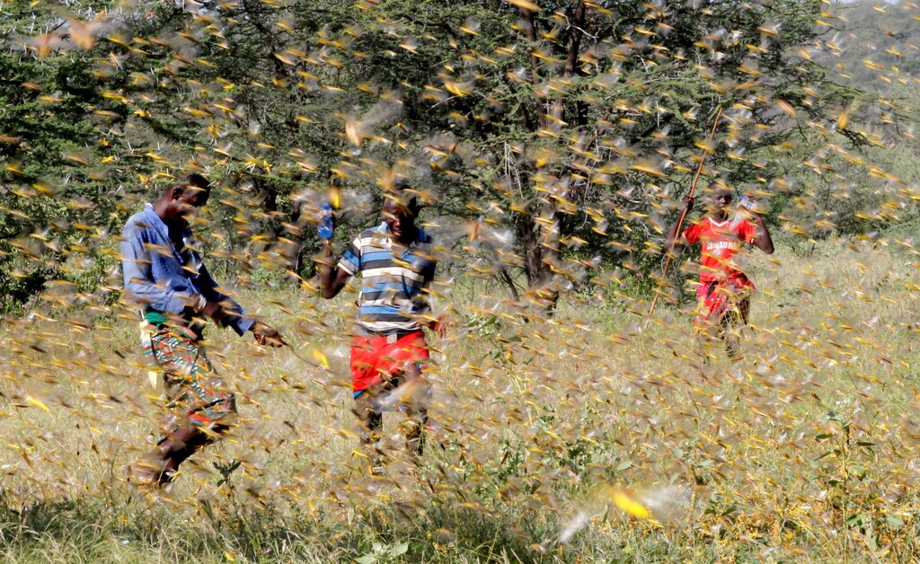 a group of men fight through a swarm of locusts.