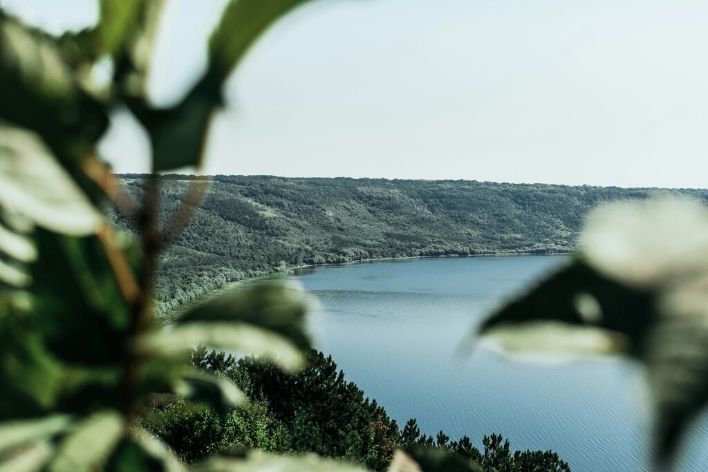 A view of a body of water peaking through some trees in Bakota, Ukraine: Ukraine's water crisis underscores broader water security concerns