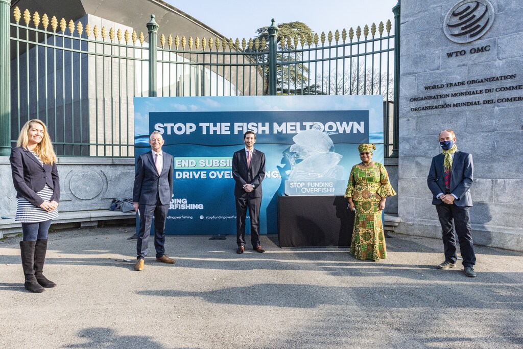 To mark the occasion of newly appointed Director-General Ngozi Okonjo-Iweala’s term on 1 March 2021, the Stop Funding Overfishing campaign positioned an ice sculpture of a fish in front of the WTO’s HQ.