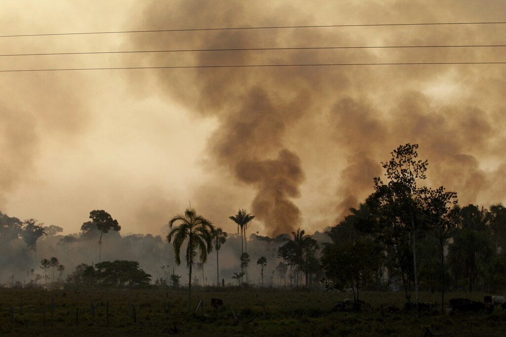 Smoke billows from forest fires along the Interoceanic highway section linking Peru and Brazil in the Amazon region of Madre de Dios, August 20, 2010. Parts of land along the highway have undergone deforestation for agriculture purposes and the advancement of informal mining. At least 18,000 hectares of forest, including indigenous land, have been transformed into desert in this region, according to Peru's Environment Minister Antonio Brack. Picture taken August 20, 2010. REUTERS/Mariana Bazo (PERU - Tags: ENVIRONMENT SOCIETY AGRICULTURE) - GM1E68O0LK601