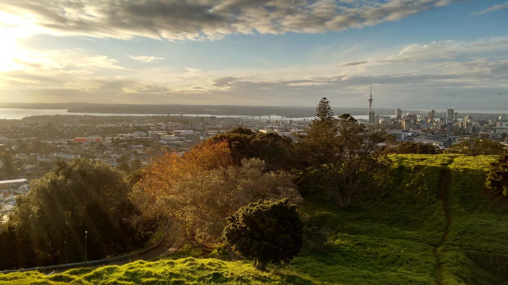 View of trees over a city. Trees provide shade in cities and deflect radiation from the sun.