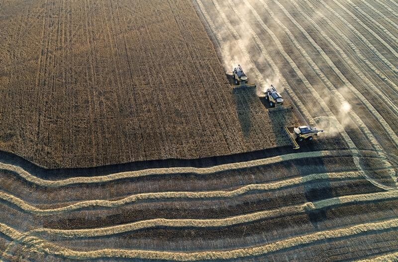 An aerial view shows combines harvesting wheat in a field of the Solgonskoye private farm outside the Siberian village of Talniki in Krasnoyarsk region, Russia September 7, 2018. Picture taken September 7, 2018. REUTERS/Ilya Naymushin - RC1E504138D0
