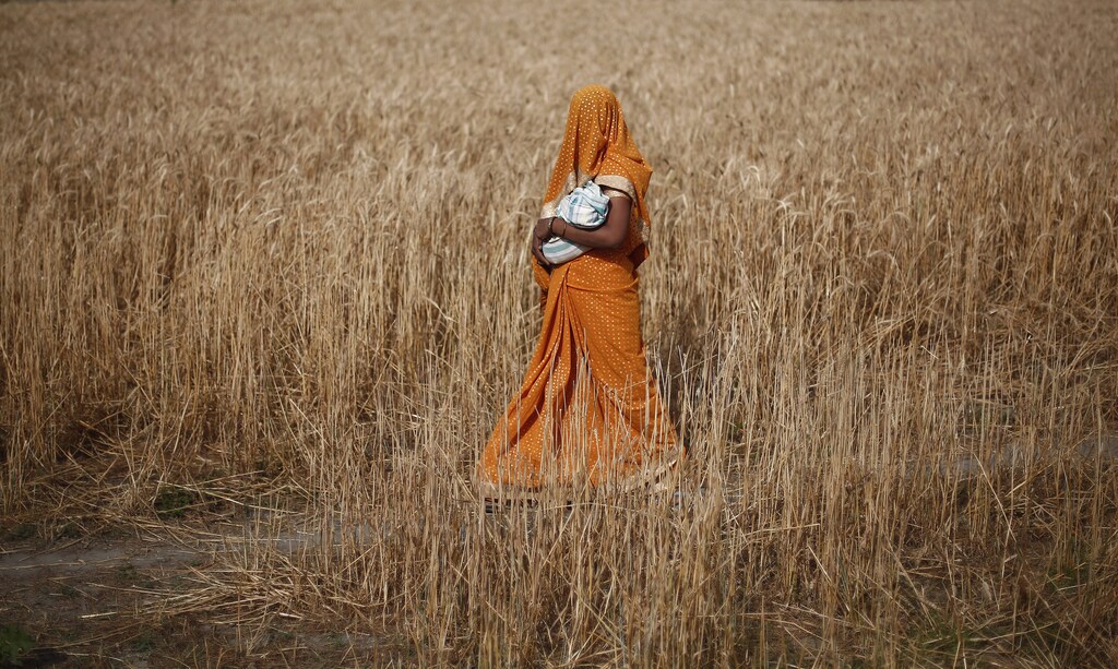 A woman carries her baby as she walks through a wheat field on her way to a polling station to cast her vote in Shabazpur Dor village, in Amroha district in the northern Indian state of Uttar Pradesh April 17, 2014. India kicked off the biggest day of its mammoth general election on Thursday, with a quarter of its 815 million voters set to head to the polls during a week of fresh blows for the ruling Congress party and gains for the Hindu nationalist opposition. REUTERS/Adnan Abidi (INDIA - Tags: POLITICS ELECTIONS TPX IMAGES OF THE DAY) - GM1EA4H1NMW01