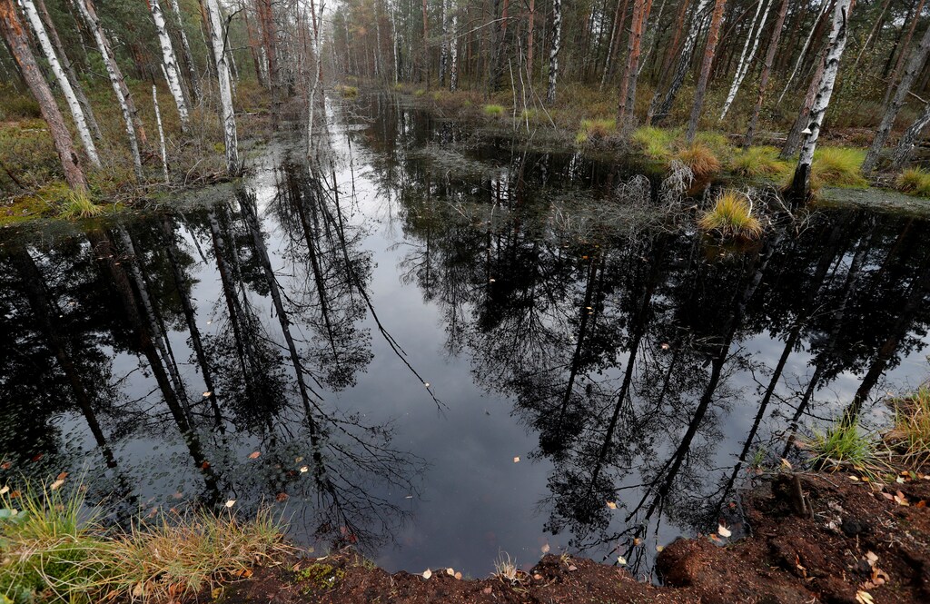 A channel, blocked with a dam, is seen at a marsh called Cherven-2, near the village of Gorodishche, Belarus October 2, 2018. The new GEF (Global Environment Facility) funded and UNDP (United Nations Development Programme) implemented âWetlandsâ project, which will help to restore 12,456 ha of the degraded peatland forests, and decisions on restoration/wise management of 260,000 ha of Belarusian peatland forests will be made, according to UNDP in Belarus. REUTERS/Vasily Fedosenko - RC1922A33550