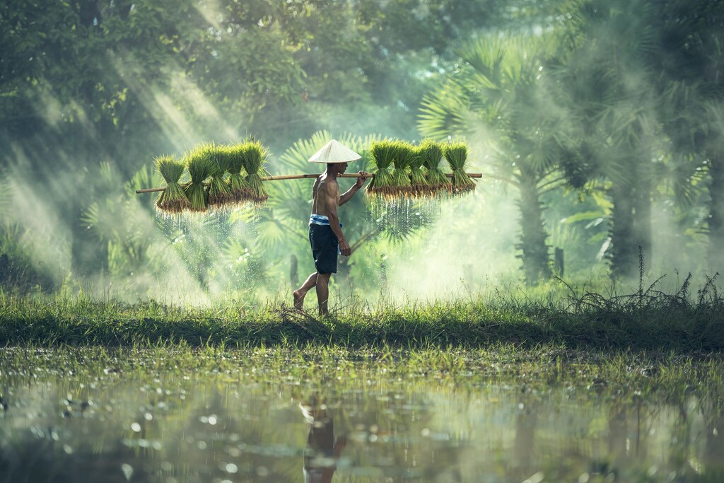 Our planet and humanity are basically supported by a 10-30 centimeters layer of soil.