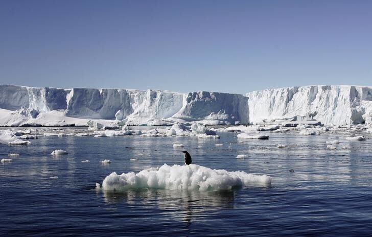 An Adelie penguin stands atop a block of melting ice near the French station at Dumont dUrville in East Antarctica January 23, 2010. Russia and the Ukraine on November 1, 2013 again scuttled plans to create the world's largest ocean sanctuary in Antarctica, pristine waters rich in energy and species such as whales, penguins and vast stocks of fish, an environmentalist group said. The Commission for the Conservation of Antarctic Marine Living Resources wound up a week-long meeting in Hobart, Australia, considering proposals for two "marine protected areas" aimed at conserving the ocean wilderness from fishing, drilling for oil and other industrial interests. Picture taken January 23, 2010. To match story ANTARCTIC-ENVIRONMENT/ REUTERS/Pauline Askin (ANTARCTICA - Tags: ENVIRONMENT POLITICS ANIMALS)