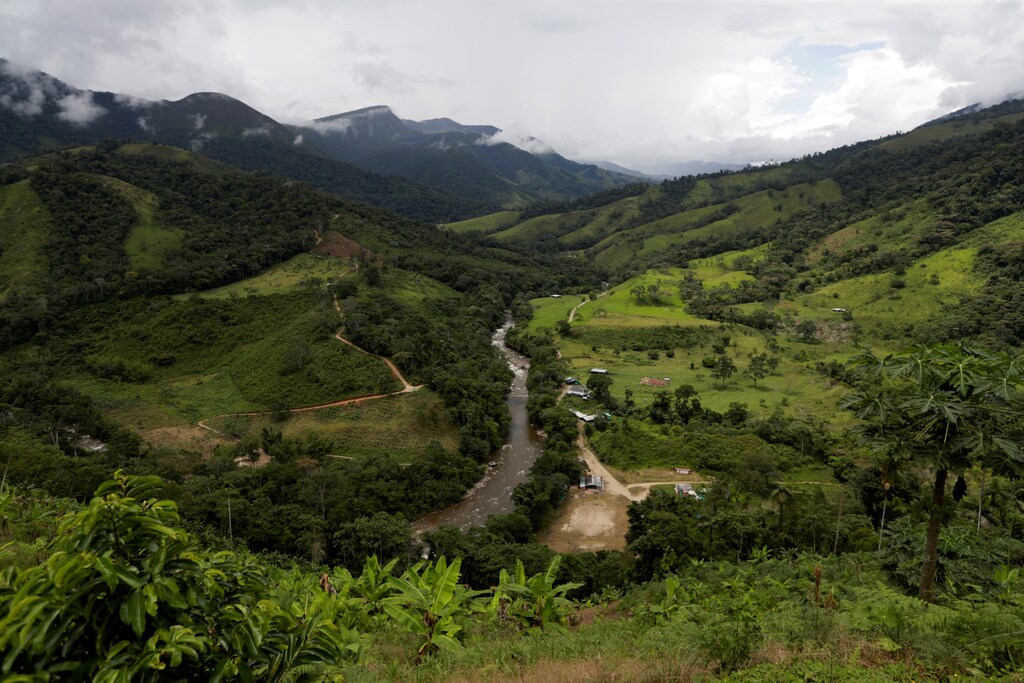 View of the river Pato in Miravalle, Colombia November 9, 2018. Picture taken November 9, 2018. REUTERS/Luisa Gonzalez - RC19C1EC2300