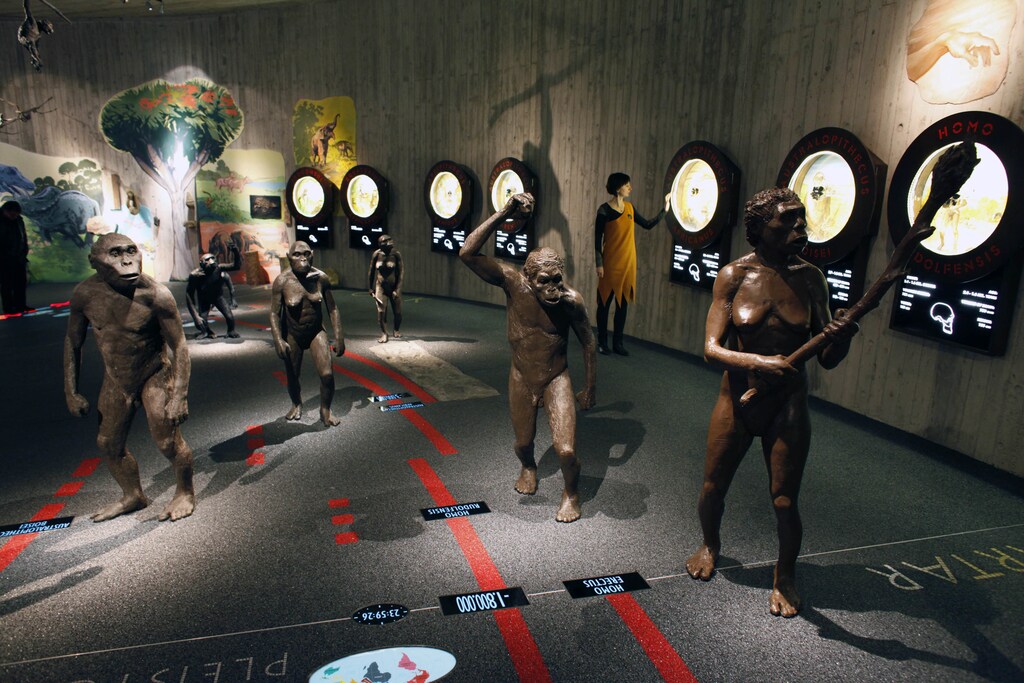 A timeline of human evolution, illustrated by life-size statues of our ancestors, is displayed in the new Neanderthal Museum in the northern Croatian town of Krapina February 25, 2010. The museum opened last week and was built on the site where scientists have found the greatest concentration in Europe of Neanderthal remains, the bones, skulls, tools and other effects of an extinct offshoot of mankind who inhabited parts of Asia and Europe until 30,000 years ago. Picture taken February 25, 2010. To match Reuters Life! NEANDERTHAL-CROATIA/MUSEUM REUTERS/Nikola Solic (CROATIA - Tags: SOCIETY SCI TECH) - GM1E6311Q3801