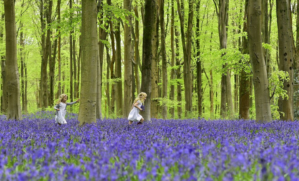 new-green-jobs-created-ending-subsidies-that-harm-nature
