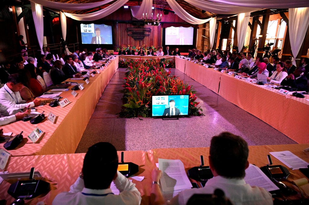 After the UN, the G77 is the second biggest international organization in the world.