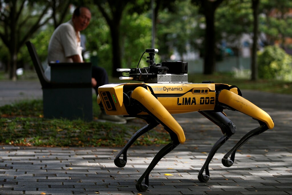Un perro robot de cuatro patas llamado SPOT patrulla un parque mientras se somete a pruebas para ser desplegado como embajador de distanciamiento seguro, tras el brote de la enfermedad coronavirus (COVID-19), en Singapur el 8 de mayo de 2020.