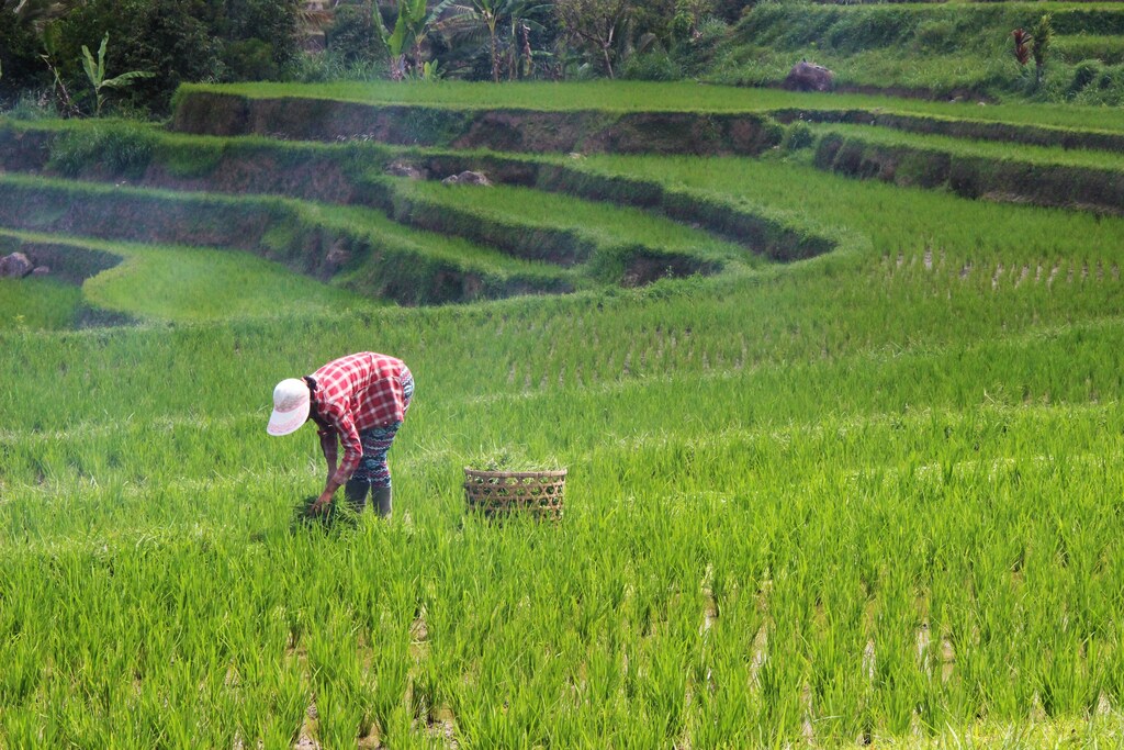 The World Economic Forum’s 100 Million Farmers platform aims to help transition one in every five farmers to create a tipping point for the sector.