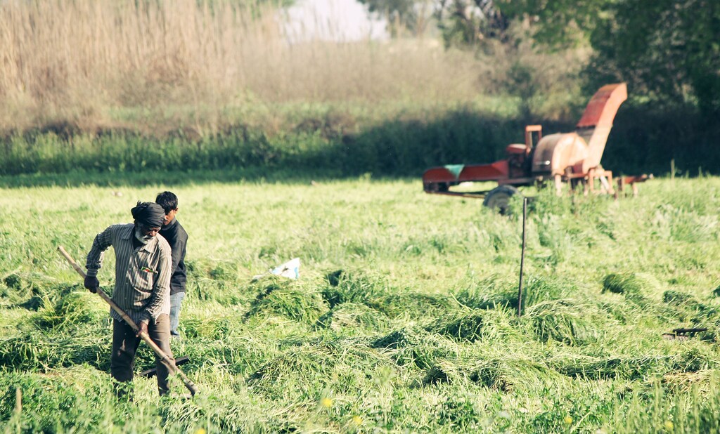 Asian co-operatives are leading the charge for sustainable development and are particularly important in the agricultural sector.