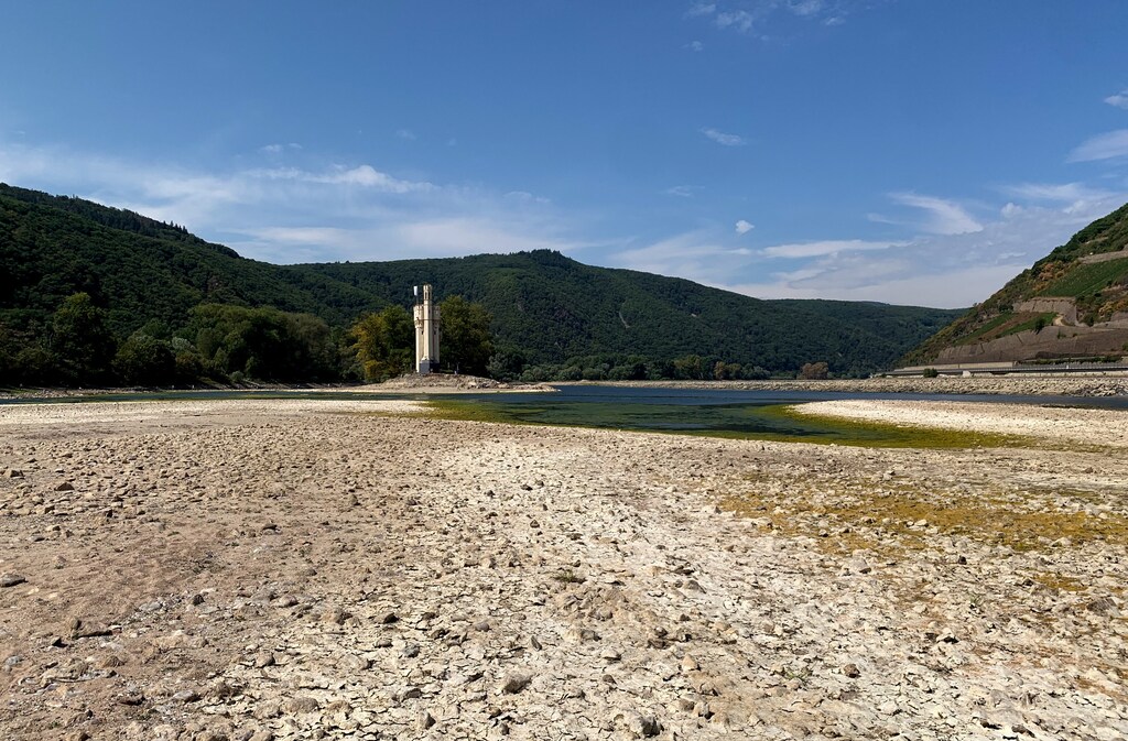 Economic damage from droughts jumped by 63% in 2021 compared with the 20-year average, according to the World Meteorological Organization.
