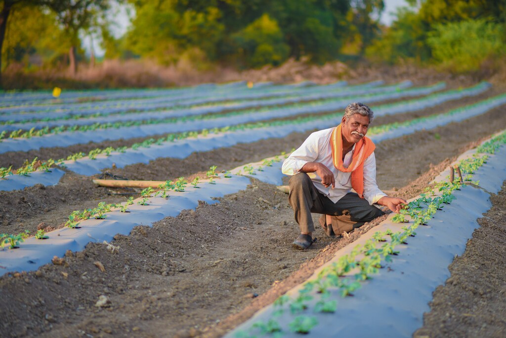 farmer tending crops and soil