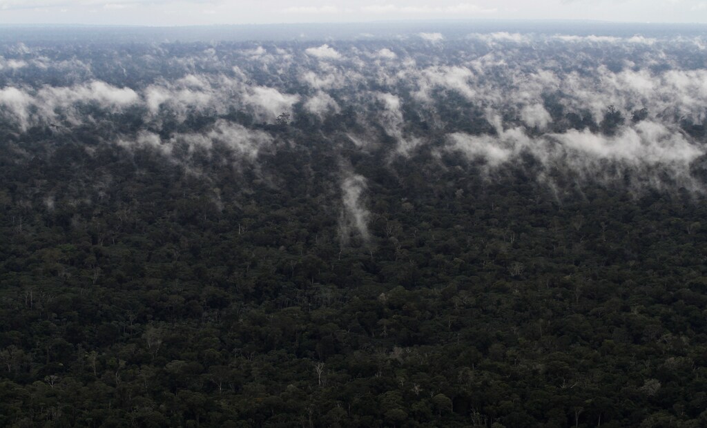 An aerial view shows the Amazon rainforest near the city of Santarem, Para State, Brazil, April 19, 2013. Picture taken April 19, 2013. REUTERS/Nacho Doce - RC1DDE3D1180