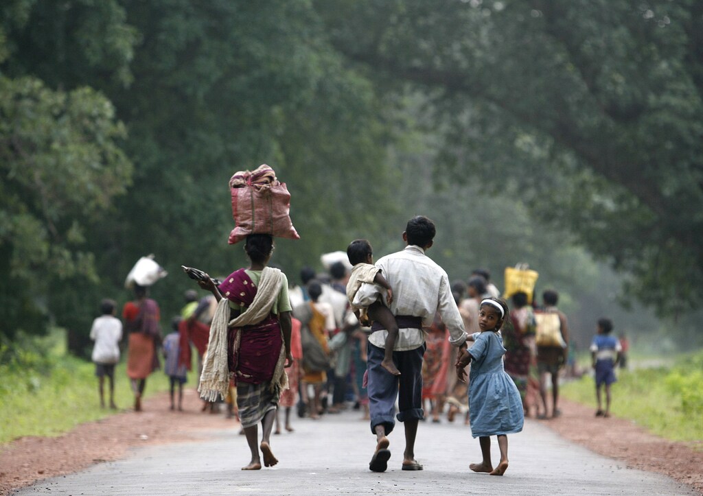 people are pictured walking through a forest in India