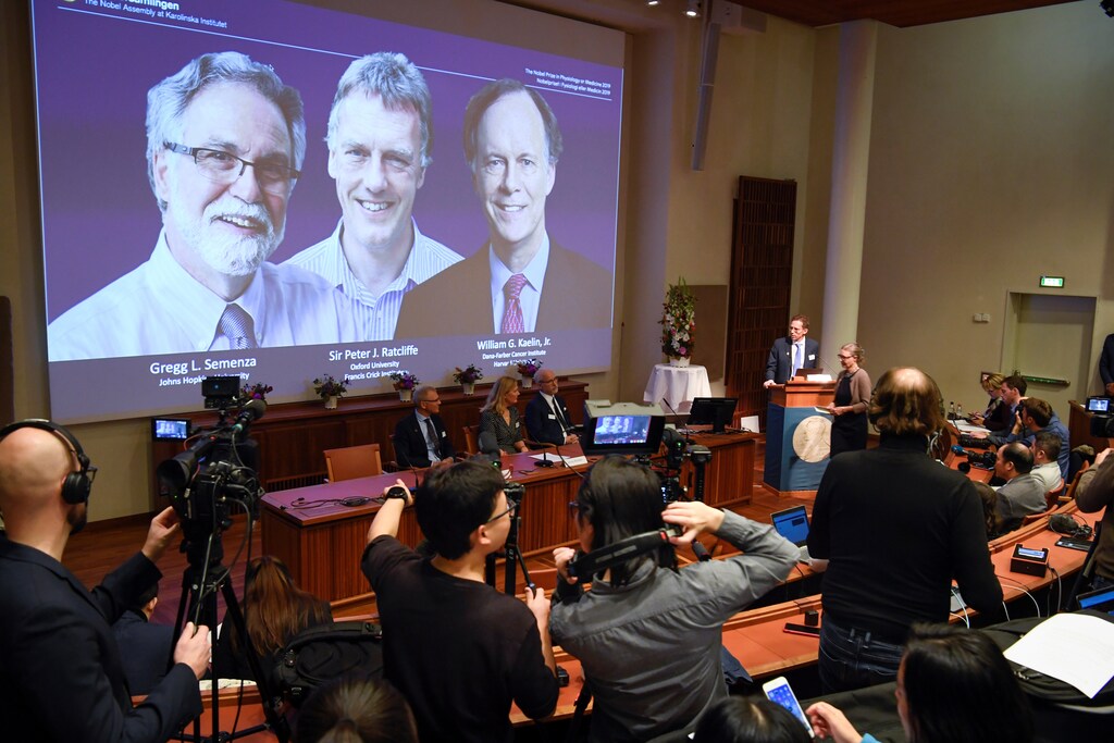 Thomas Perlmann, Secretary-General of the Nobel Committee, presents the Nobel laureates, William G. Kaelin Jr, Sir Peter J. Ratcliffe and Gregg L. Semenza, of this year's Nobel Prize in Medicine during a news conference in Stockholm, Sweden, October 7, 2019. Pontus Lundahl/TT News Agency/via REUTERS ATTENTION EDITORS - THIS IMAGE WAS PROVIDED BY A THIRD PARTY. SWEDEN OUT. NO COMMERCIAL OR EDITORIAL SALES IN SWEDEN. - RC1282EFAFD0