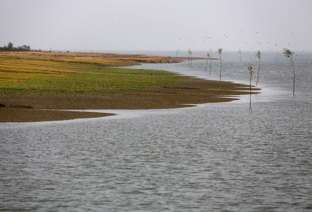 A view of the Thengar Char island in the Bay of Bengal, Bangladesh, February 2, 2017. Picture taken February 2, 2017. REUTERS/Mohammad Ponir Hossain - RC1386A73300