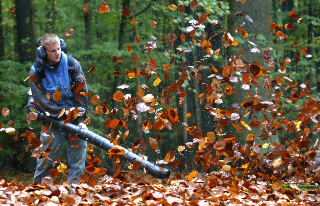 A gardener cleans a park with a leaf blower during an autumn in Tervuren, near Brussels October 30, 2012. REUTERS/Francois Lenoir (BELGIUM - Tags: ENVIRONMENT) - GM1E8AU1JTY01
