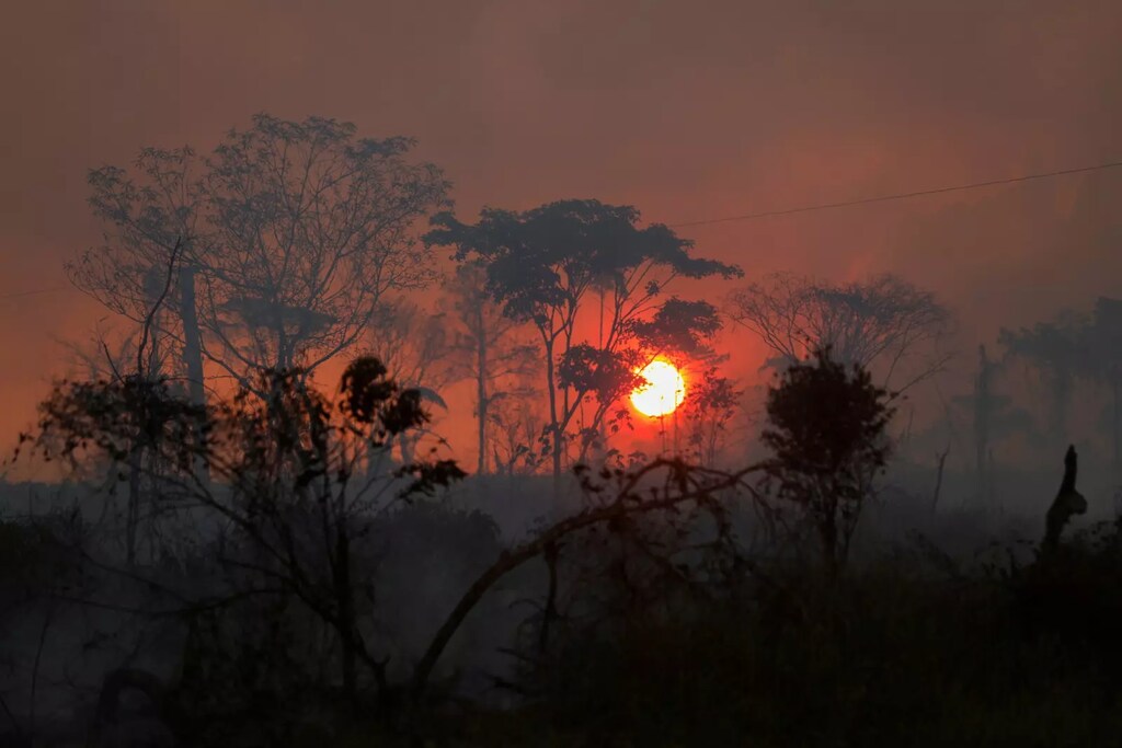 La selva amazónica