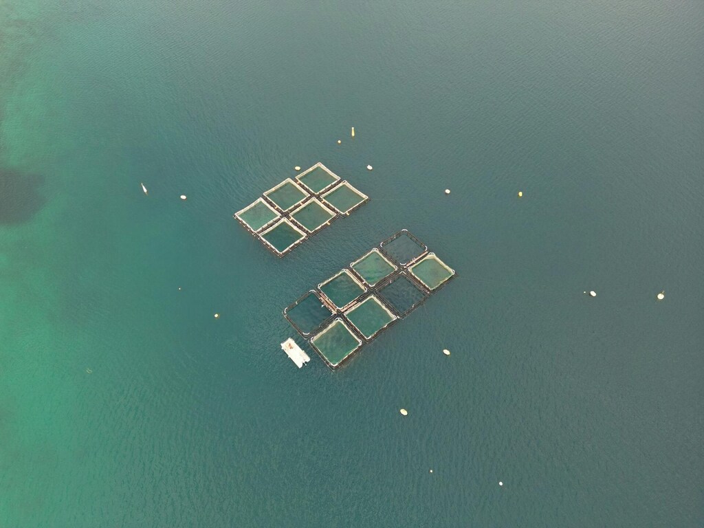 Marine permaculture could be used to create more sustainable aquaculture practices.