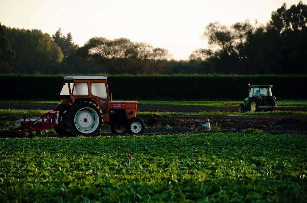 Innovation in agriculture will be key to solving food security problems.