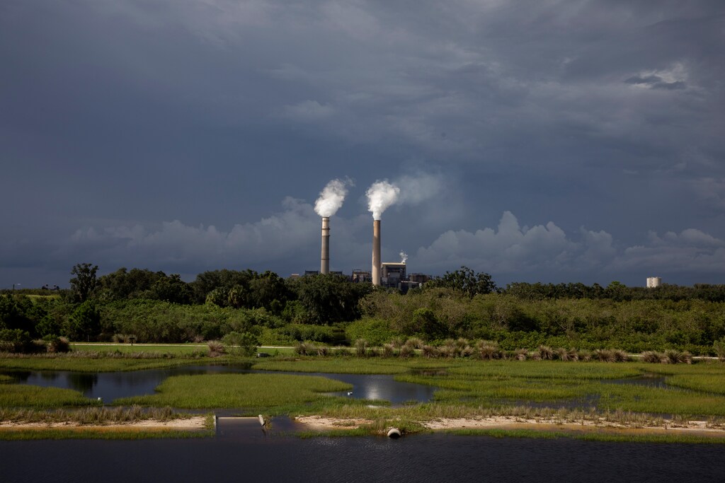 Steam rises out of chimneys at the Big Bend Power Station owned and operated by Tech Energy in Apollo Beach, Florida U.S., August 14, 2019