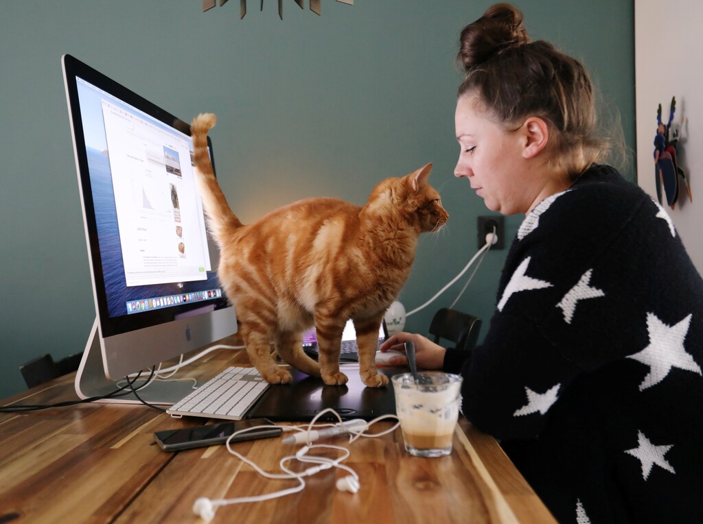 A woman works in a house with her cat while workers are forced to work from home and demand payback for extra home office costs during the coronavirus disease (COVID-19) outbreak in Sassenheim, Netherlands October 2, 2020. Picture taken October 2, 2020. REUTERS/Eva Plevier - RC2HDJ9U715C