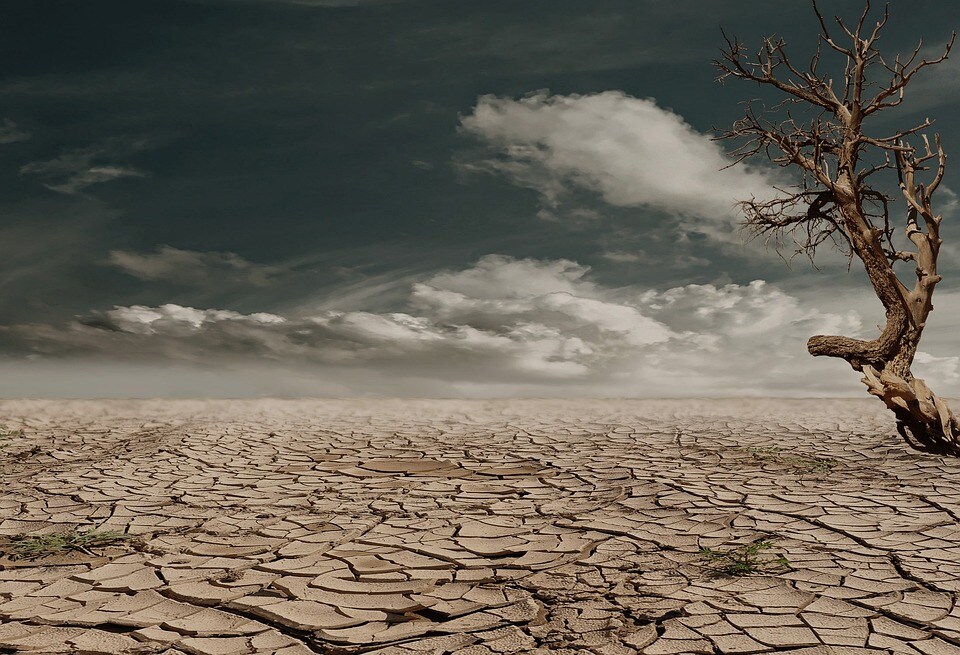 View of droughty desert